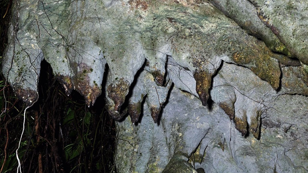 Amabeere Ga Nyina Mwiru Caves - Inside Kibale Forest National Park